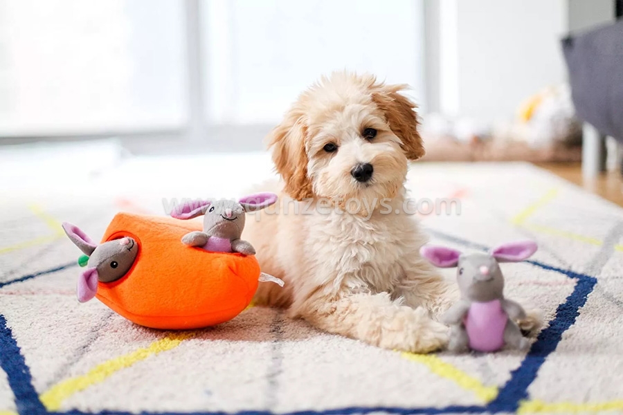 pet toys