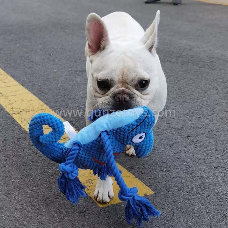 pet toys