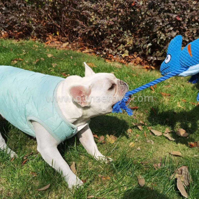 pet toys