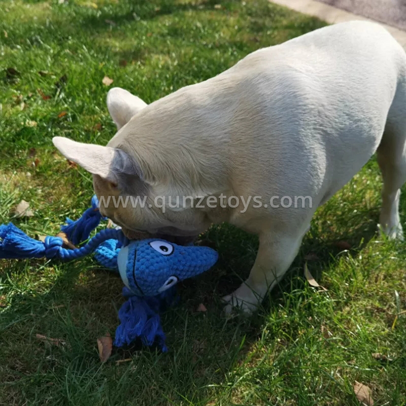 pet toys