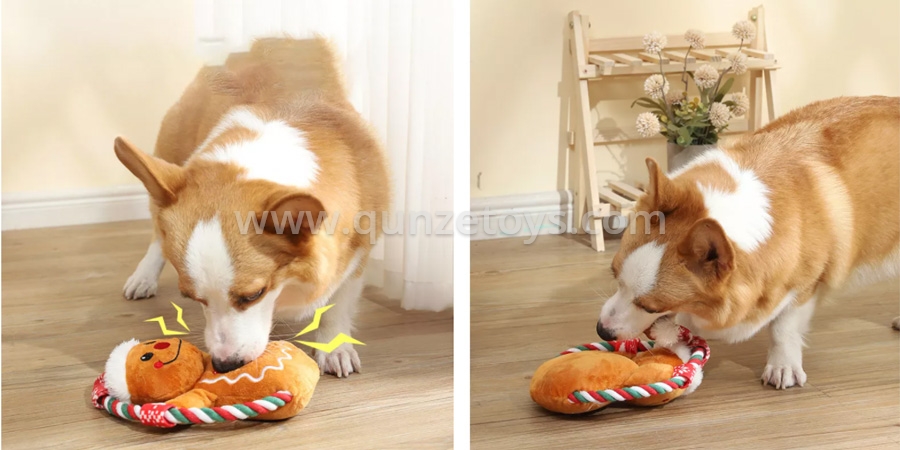 pet toys
