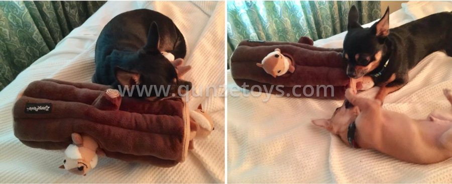Pet Chew Toys
