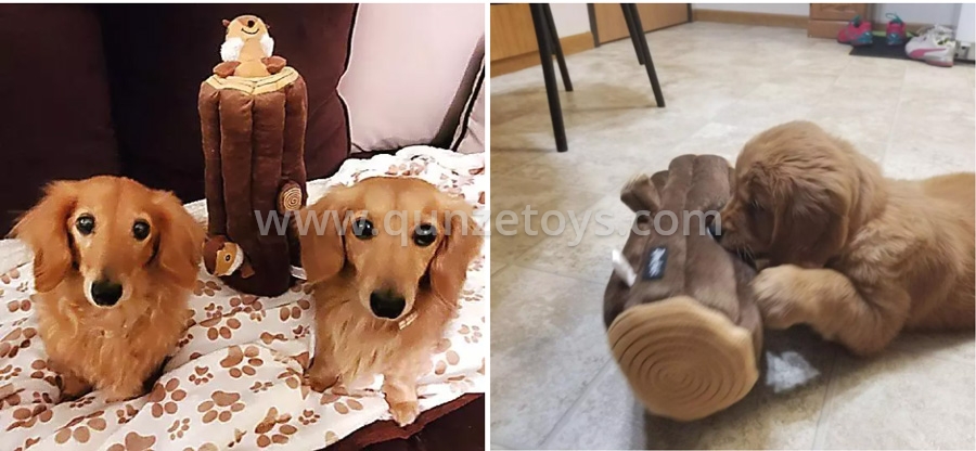 Pet Chew Toys