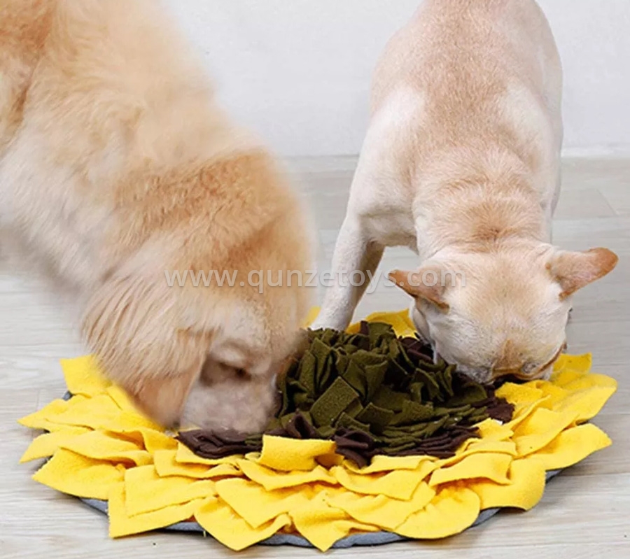 Pet Chew Toys