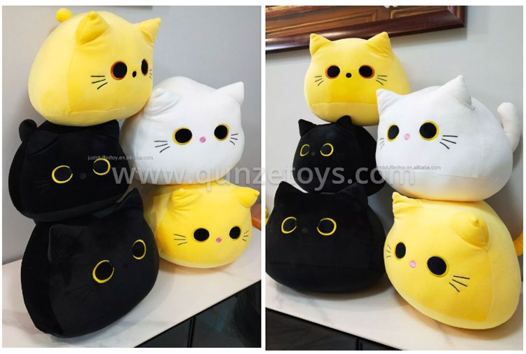Cushion & Pillows