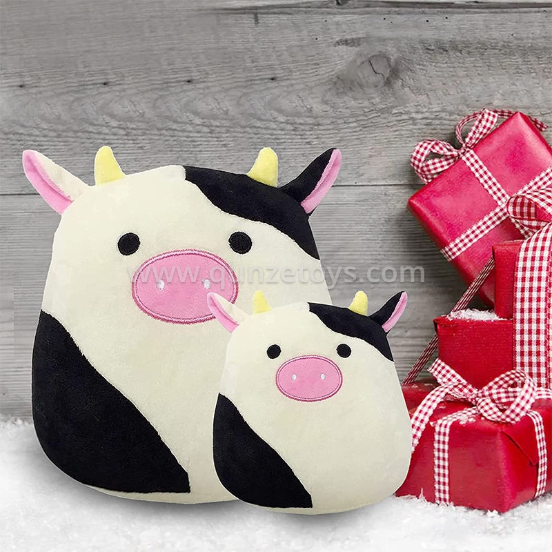Cushion & Pillows