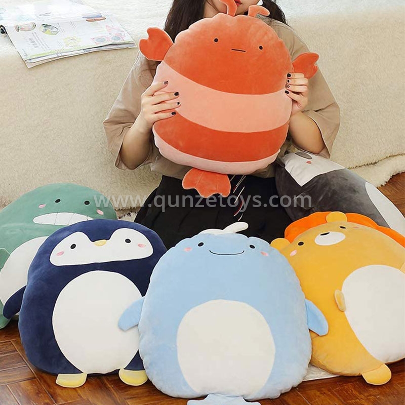 Cushion & Pillows