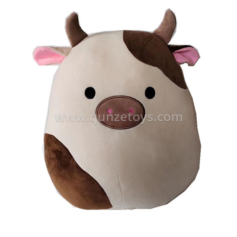 Cushion & Pillows