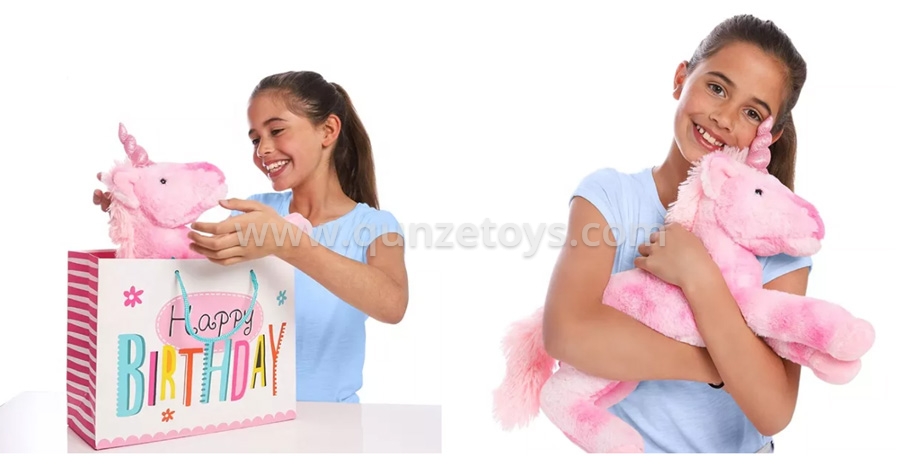 Pet Chew Toys