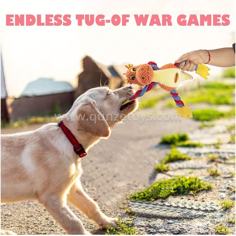 Customization Dog Toys
