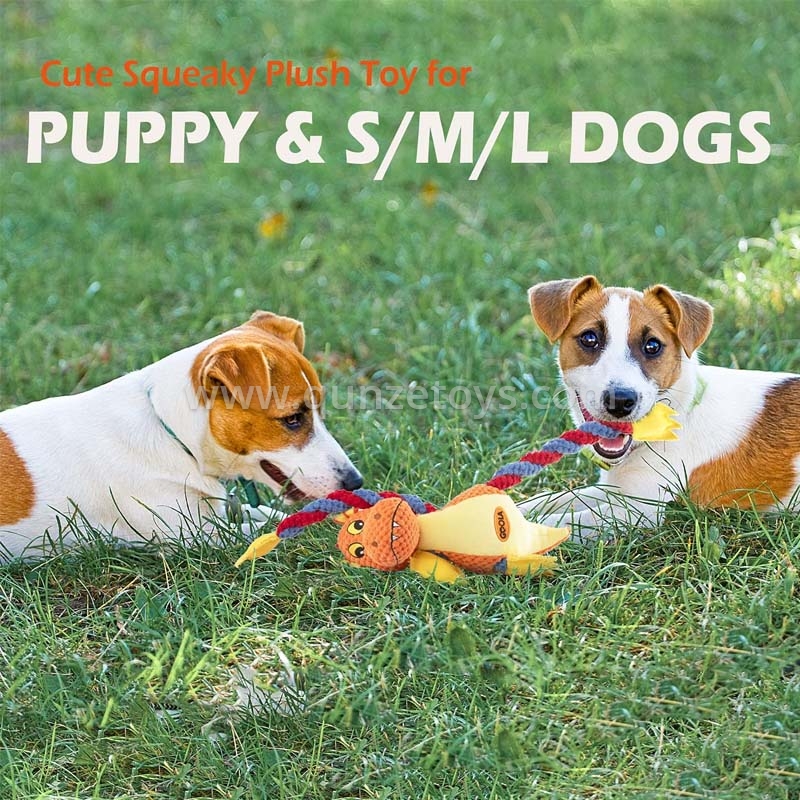 Customization Dog Toys
